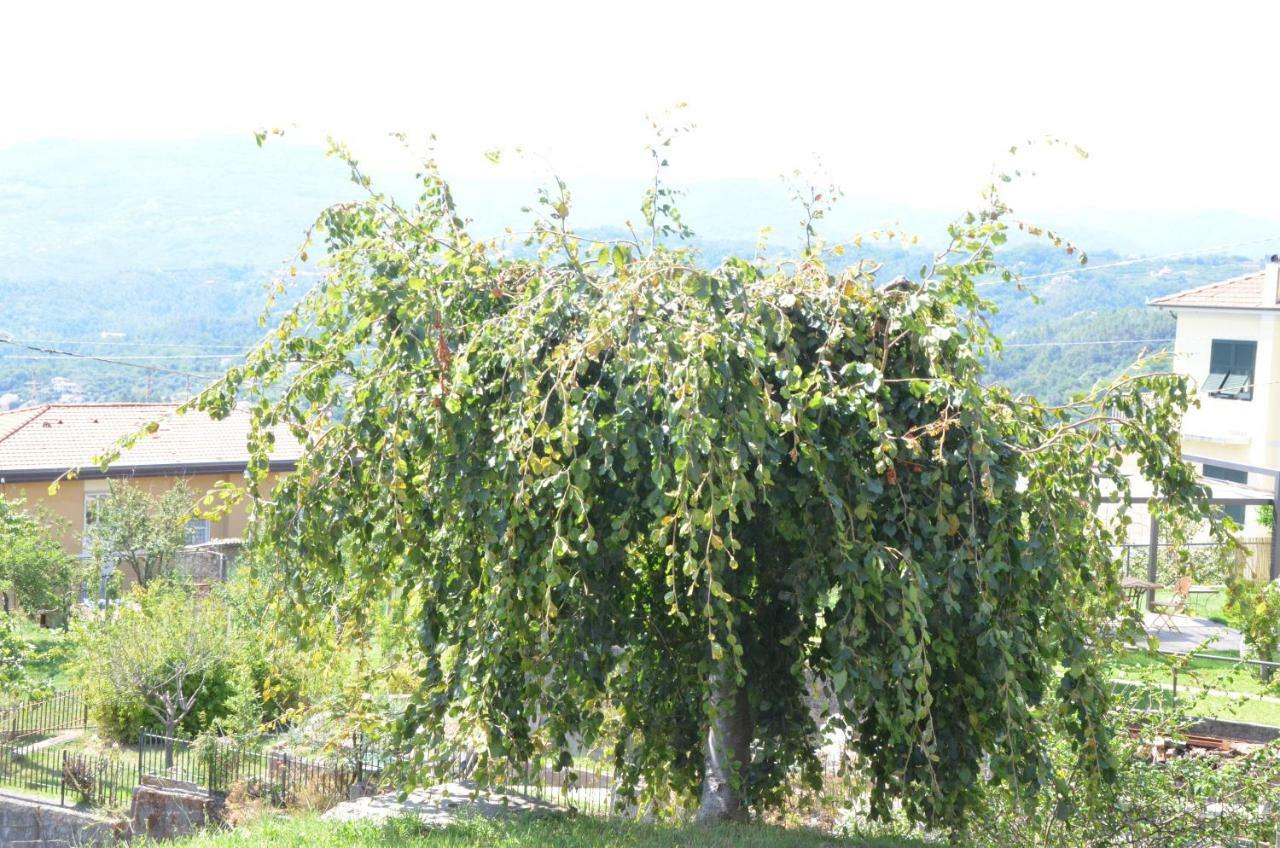 La Casa Con Vista Di Emma Vezzano Ligure Exterior foto